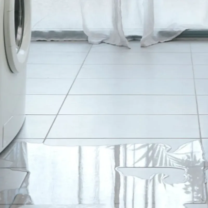 Appliance Leak Cleanup in Greenville, MI