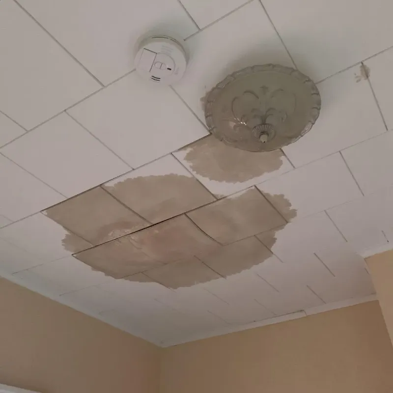 Ceiling Water Damage Repair in Greenville, MI