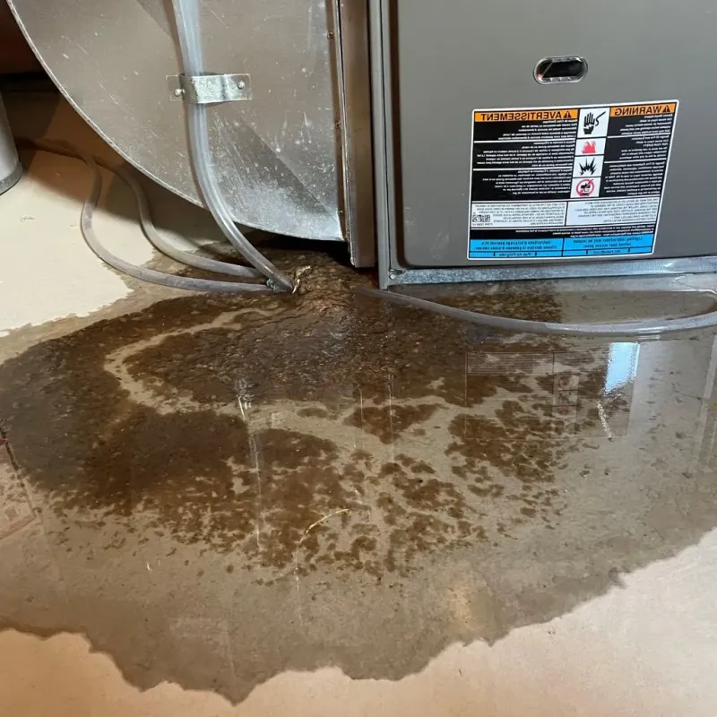 Pipe Burst and Leak Restoration in Greenville, MI