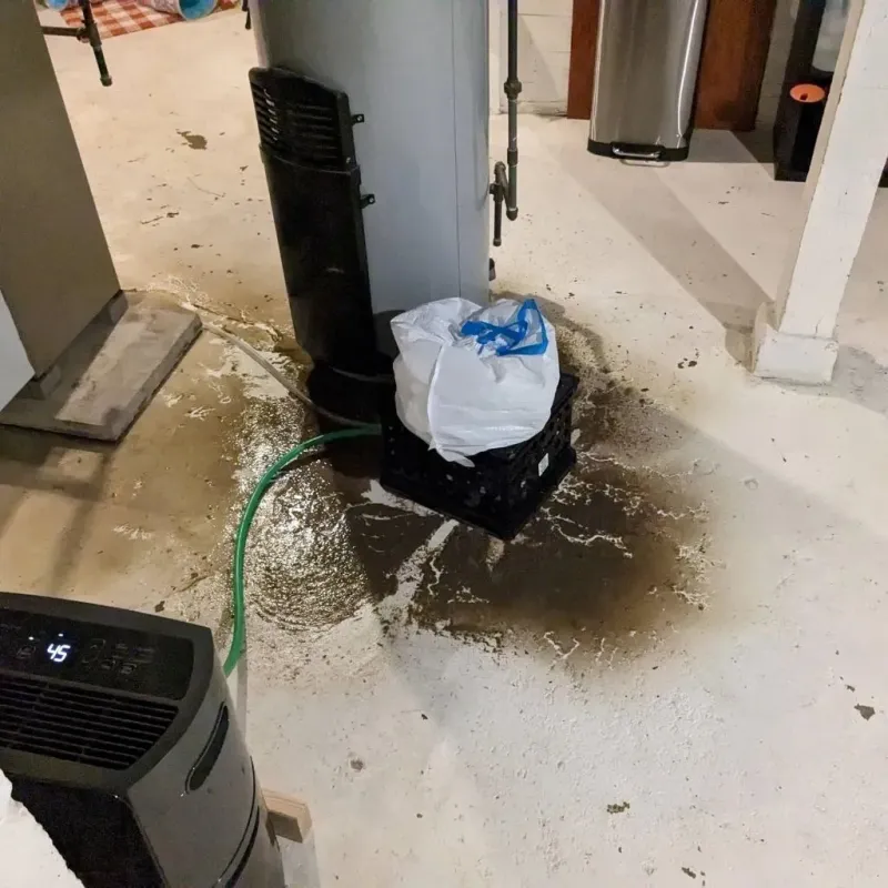 Sewage Backup Cleanup Service in Greenville, MI